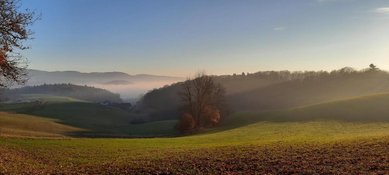 Ferienwohnung Dorfzeit Mörlenbach Buitenkant foto